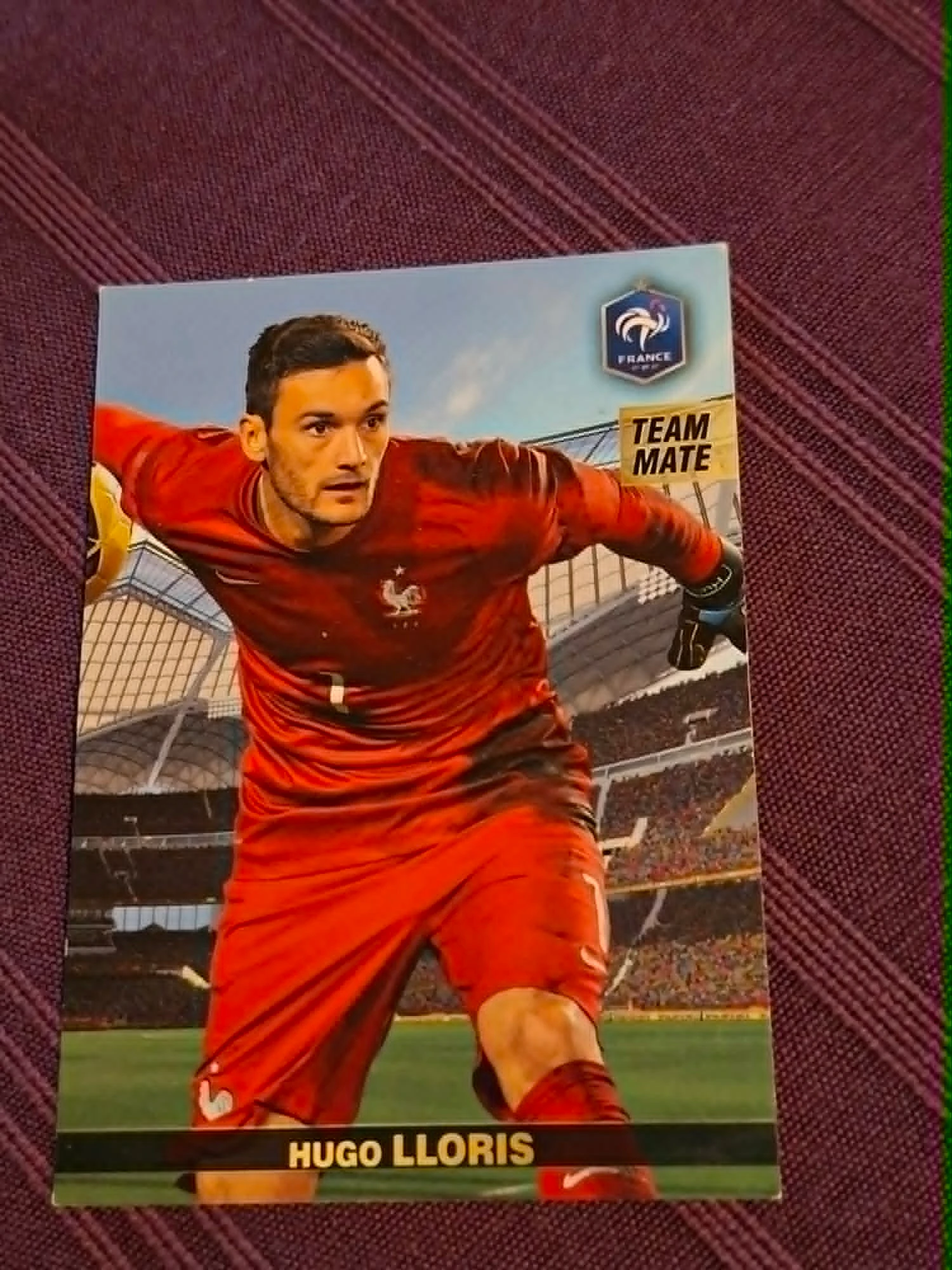 Panini / Voetbalkaart / Hugo Lloris / Frankrijk